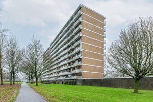 Seringenplantsoen 479 RIDDERKERK